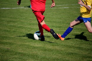 开云体育-仰泳大战美队领先毫厘之间，仰泳比赛视频欣赏